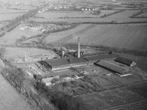 Die Ziegelei am Kremerberg (14.11.1955)